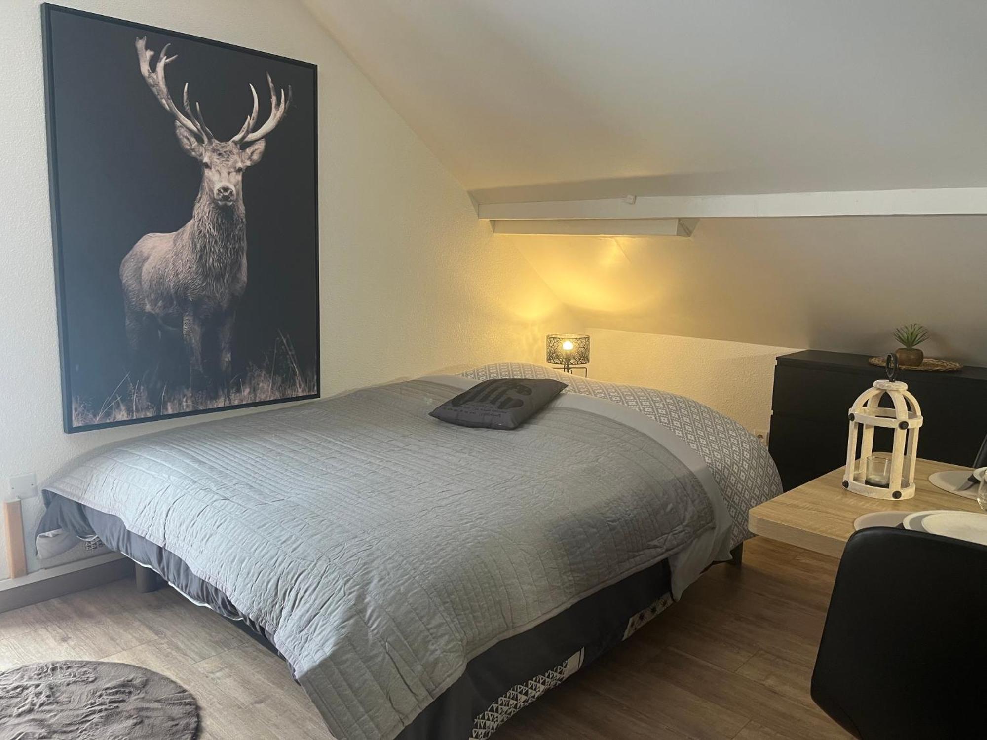 Studio Chalet Cosy Gérardmer Buitenkant foto